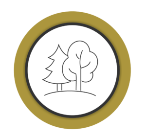 Environment